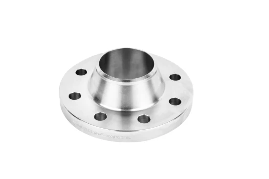 ASTM/En1092/JIS F304 Stainless Steel Plate Flange