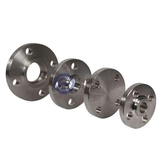 ANSI/DIN/JIS/BS/OEM Forging Stainless Steel Flanges