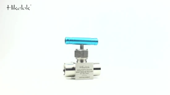 Hikelok Manufacturer PCTFE Stem High Pressure 316 Stainless Steel Needle Valve